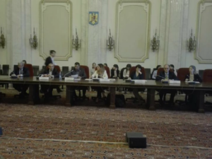 egalitatea de șanse și discriminarea oana bizgan