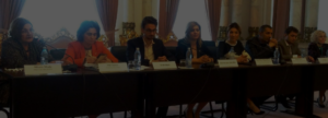egalitatea de gen deputat oana bizgan