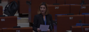 jurnal de activitate oana bizgan