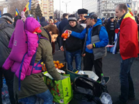 Alocațiile pentru copii oana bizgan
