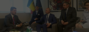 Stoparea violenţei sexuale parlamentar oana bizgan 2