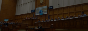 combaterea corupției politice parlamentar oana bizgan 2