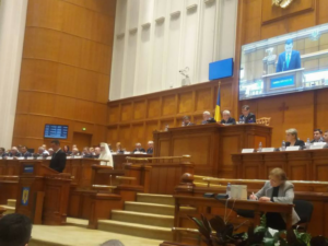 combaterea corupției politice parlamentar oana bizgan