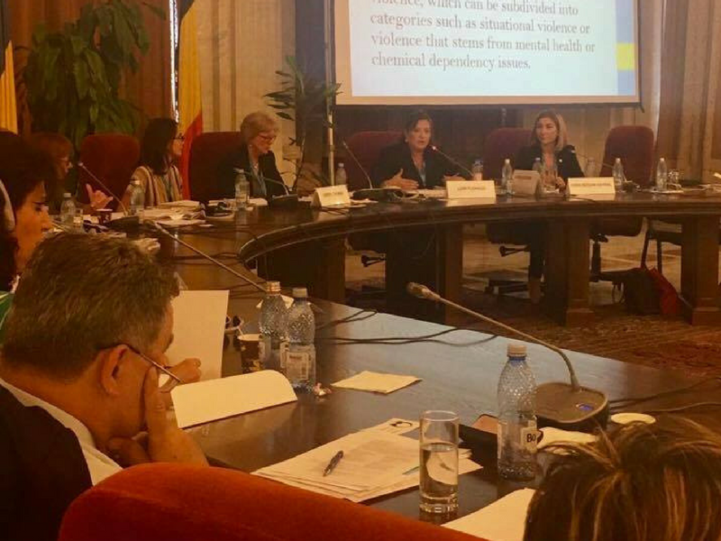prevenirea şi combaterea violenţei în familie oana bizgan 3 prevenirea şi combaterea violenţei în familie oana bizgan 3