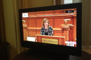 Declarații Politice - Oana Bîzgan - Deputat in Parlament