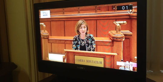 Declarații Politice - Oana Bîzgan - Deputat in Parlament