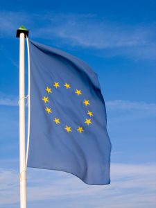 alegeri_europarlamentare_oana_bizgan